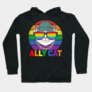 Ally Cat LGBT Gay Pride Flag Ally Cat LGBT Glasses Hoodie